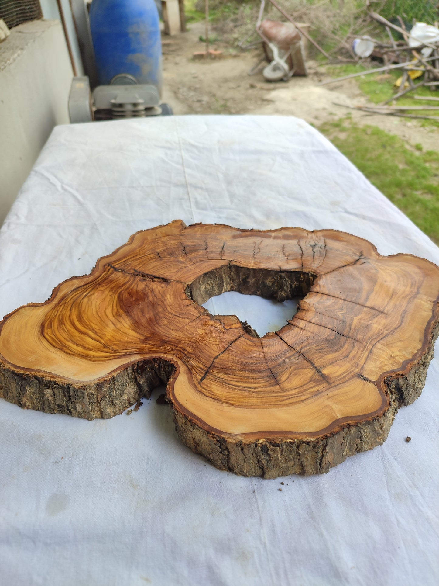 Rare Olive Wood Slab – Live Edge Unique Grain Sustainable Luxury – 27x40x3 cm - Olive Generic