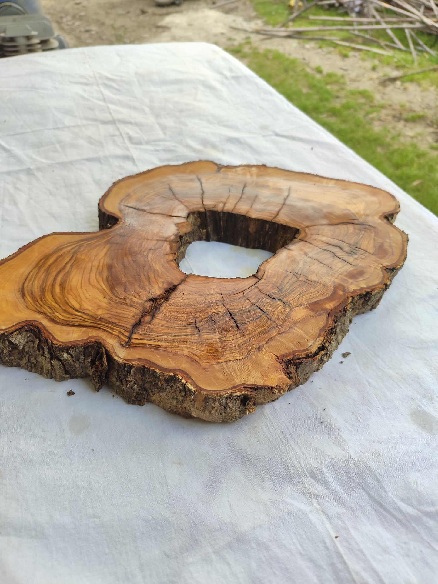 Rare Olive Wood Slab – Live Edge Unique Grain Sustainable Luxury for Epoxy Coffee Table & Guitar - Olive Generic
