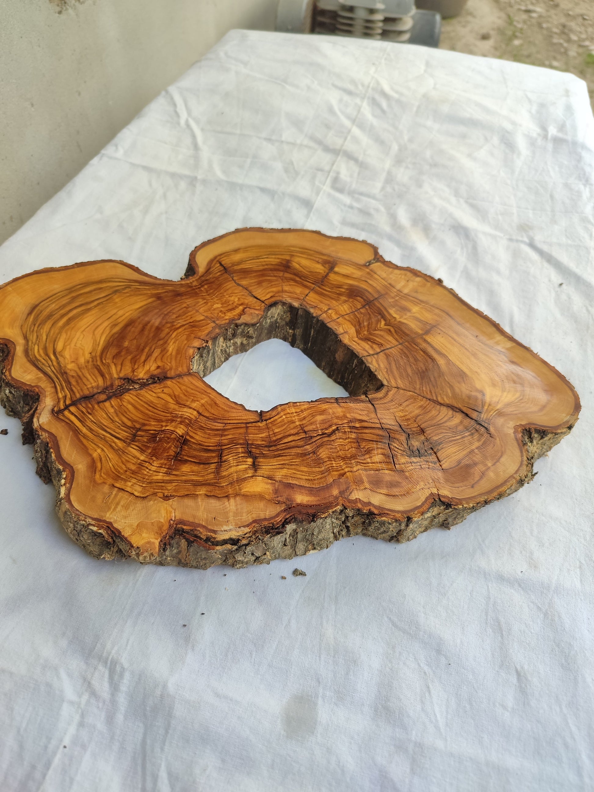 Rare Olive Wood Slab – Live Edge Unique Grain Sustainable Luxury for Epoxy Coffee Table & Guitar - Olive Generic