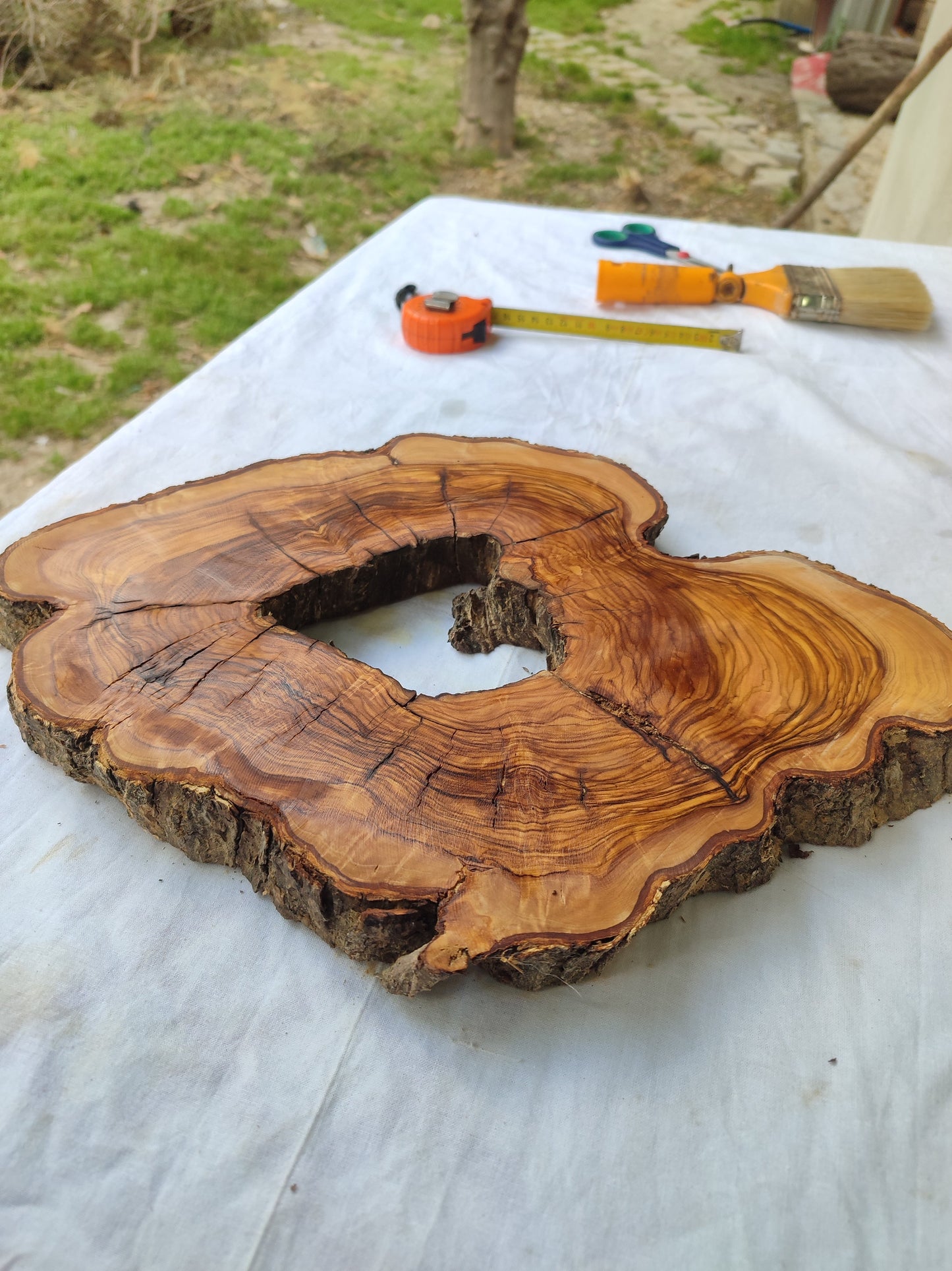 Rare Olive Wood Slab – Live Edge Unique Grain Sustainable Luxury – 27x40x3 cm - Olive Generic