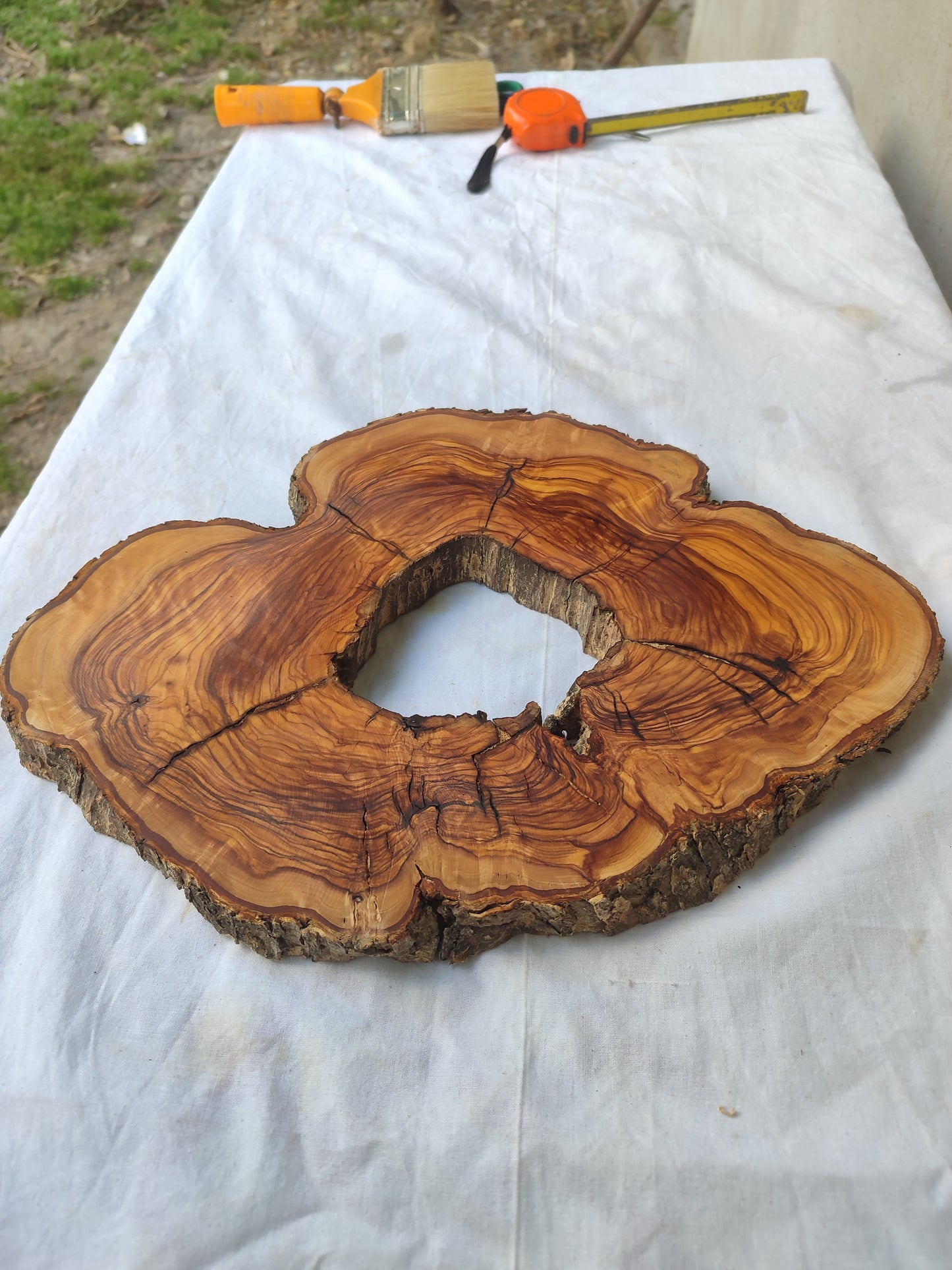 Rare Olive Wood Slab – Live Edge Unique Grain Sustainable Luxury – 27x38x2.5 cm - Olive Generic