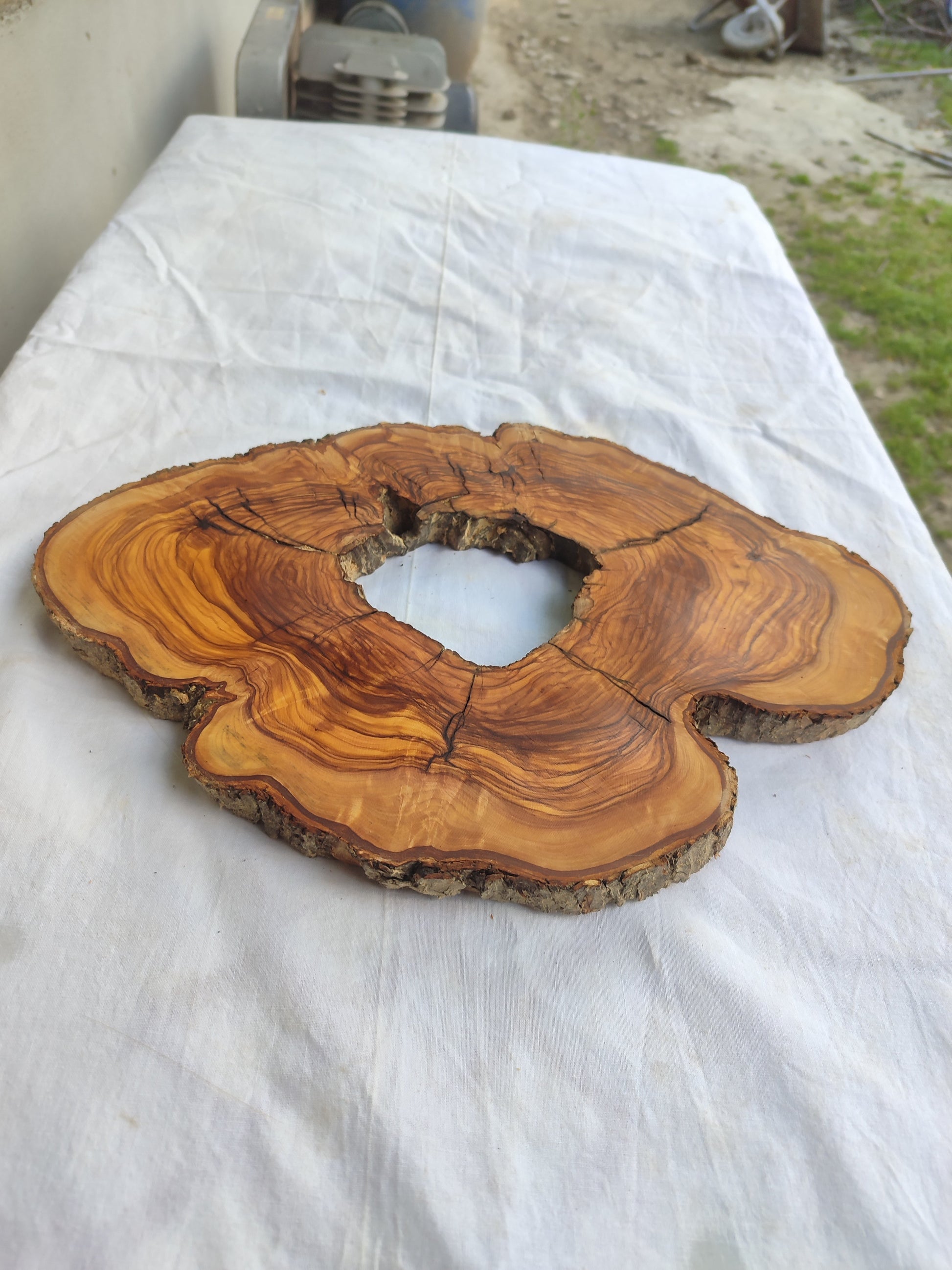Rare Olive Wood Slab – Live Edge Unique Grain Sustainable Luxury – 27x38x2.5 cm - Olive Generic