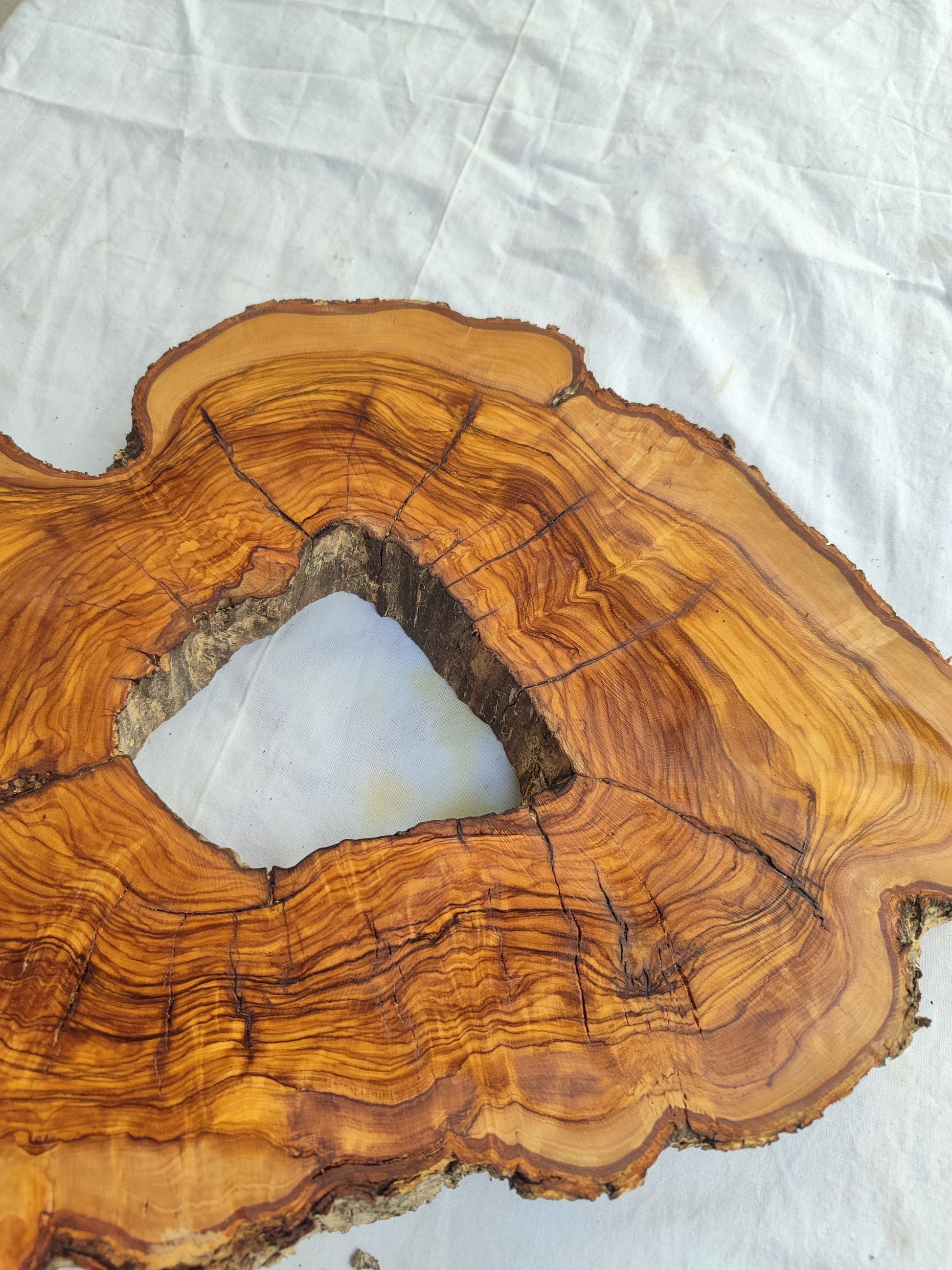 Rare Olive Wood Slab – Live Edge Unique Grain Sustainable Luxury for Epoxy Coffee Table & Guitar - Olive Generic