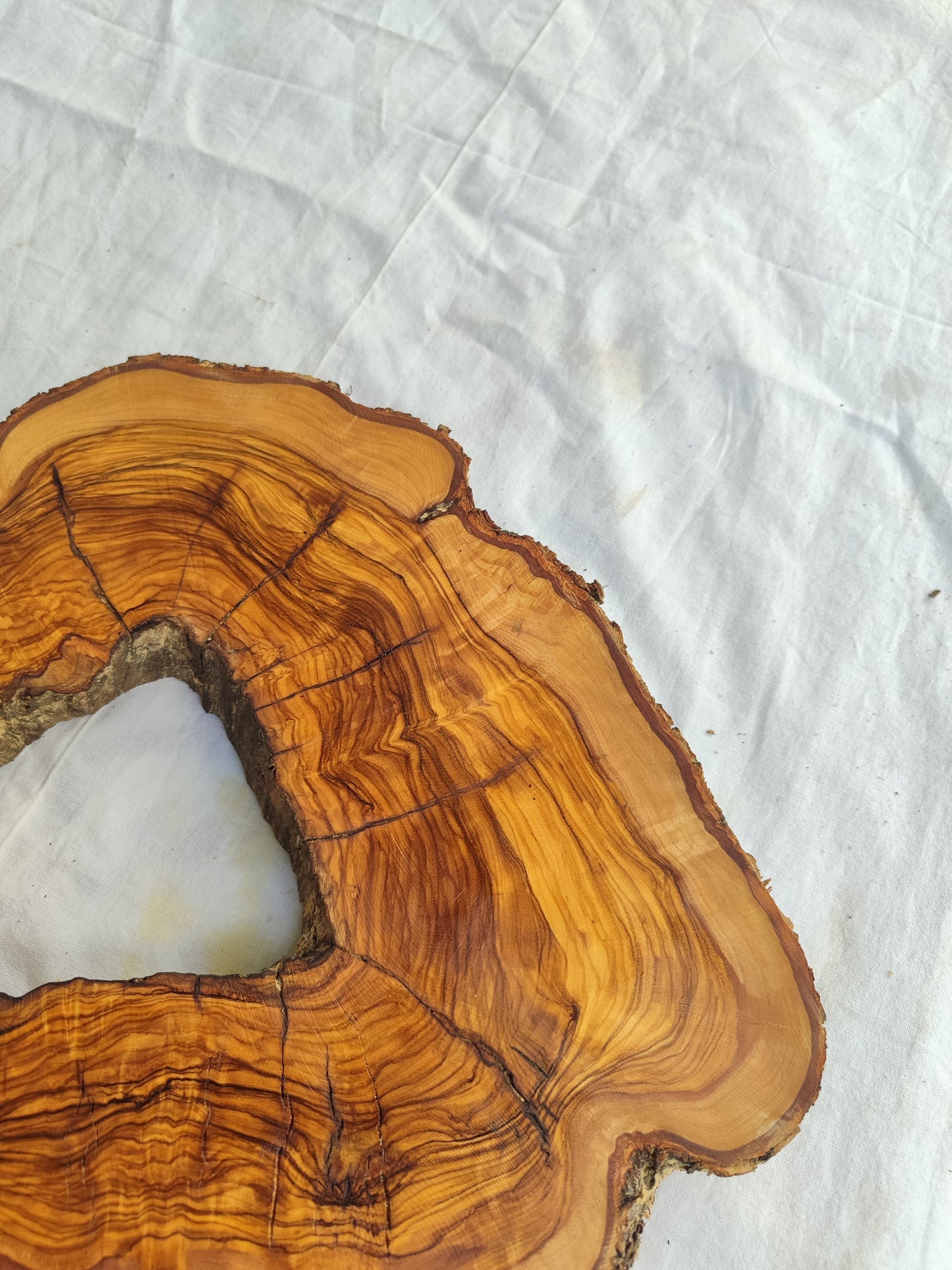 Rare Olive Wood Slab – Live Edge Unique Grain Sustainable Luxury for Epoxy Coffee Table & Guitar - Olive Generic