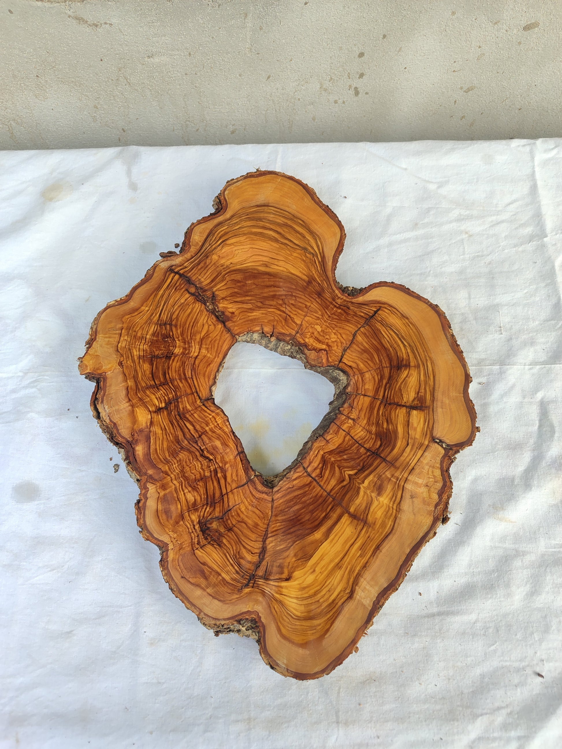 Rare Olive Wood Slab – Live Edge Unique Grain Sustainable Luxury for Epoxy Coffee Table & Guitar - Olive Generic