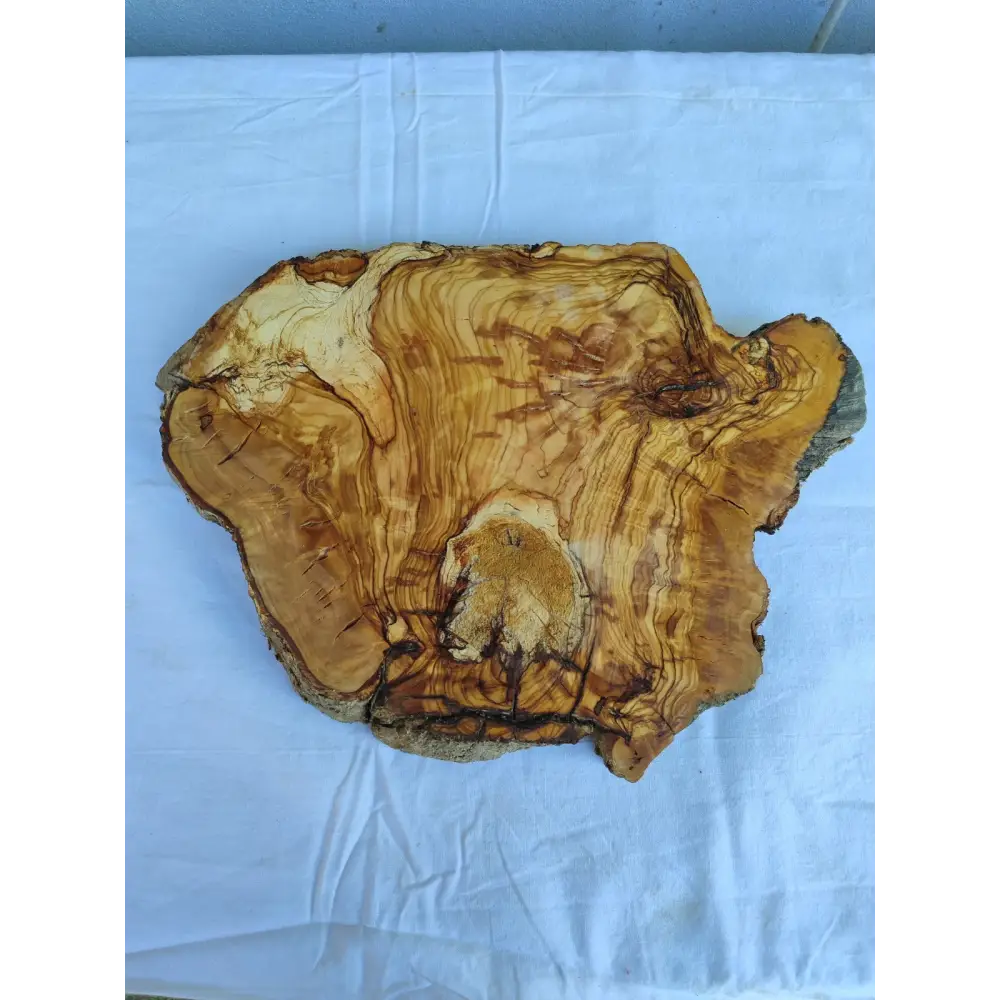 Small Olive Wood Slab 200+ Years | Live Edge Olive Wood Slice for Epoxy.